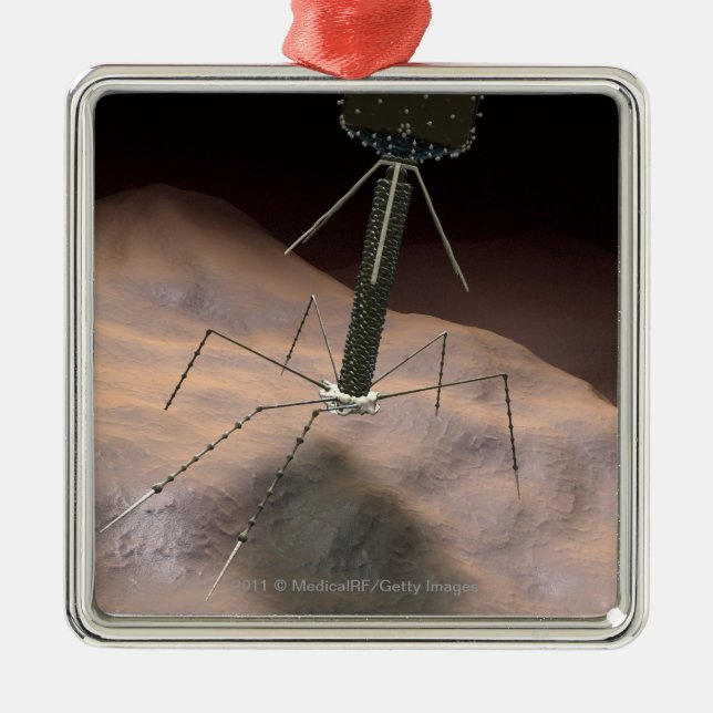 Realistische Illustration des Bakteriophages Silbernes Ornament (Vorne)