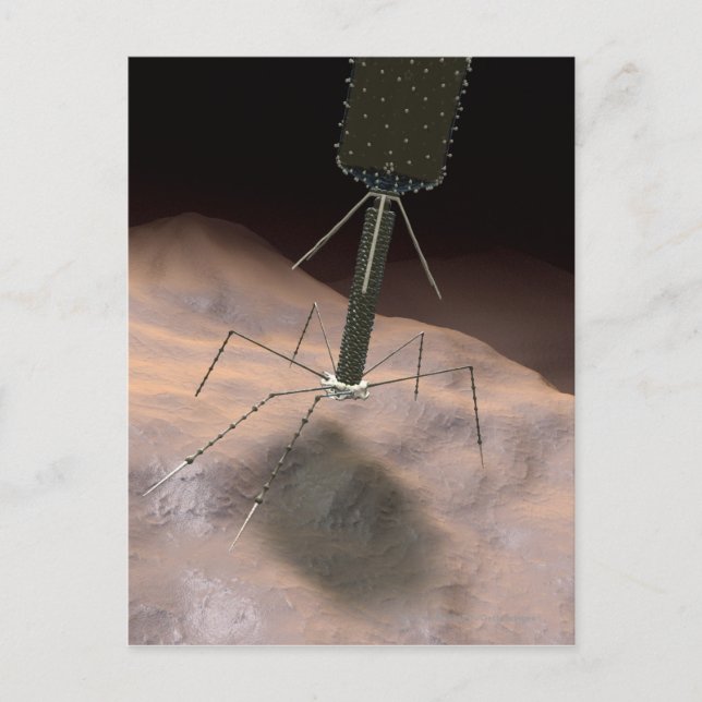 Realistische Illustration von Bakteriophage Postkarte (Vorderseite)