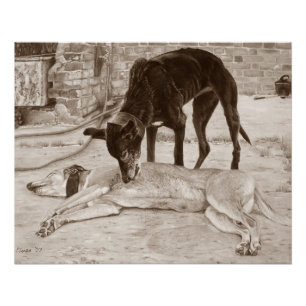 Realistische Kunsthundbild von zwei Grauhunden Poster