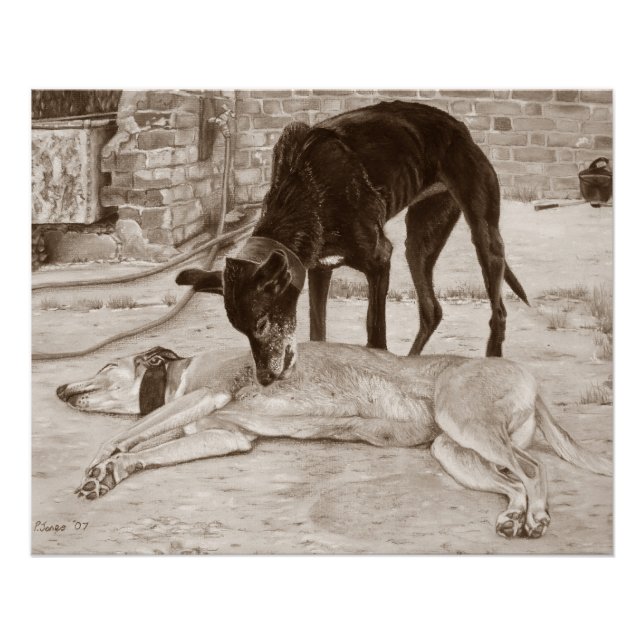 Realistische Kunsthundbild von zwei Grauhunden Poster (Vorderseite)
