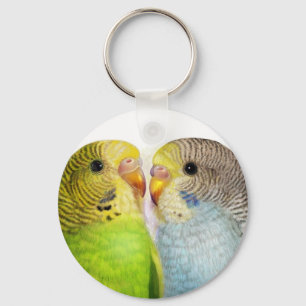 Realistische Malerei der Budgerigars Schlüsselanhänger