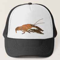 Realistische Panzerkrebse/Crawdad