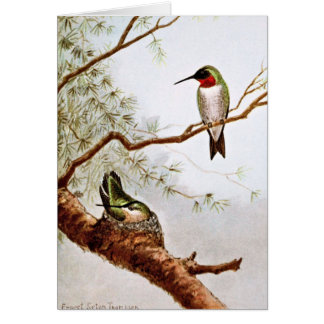 Realistische Rubin-Throated Kolibri-Kunst