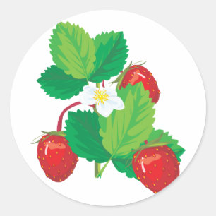 realistische saftige Erdbeeren Runder Aufkleber