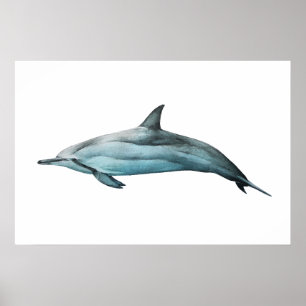 Realistische Spinner-Delfin-Illustration Druck Poster