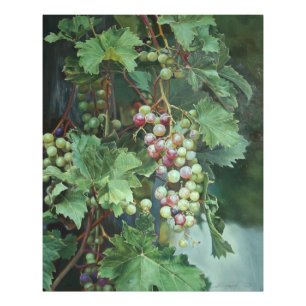 Realistische Weinrebe mit Blättern – Fine Art Fotodruck