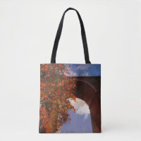 Realistischer Herbstbaum mit roten Blätter in Newq
