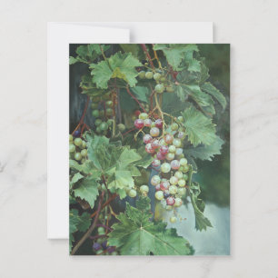 Realistischer Weinkeller mit Blätter - Kunst, Kult Postkarte