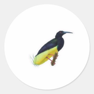 Realistischer Zwölfadriger Paradiesvogel-Aufkleber Runder Aufkleber