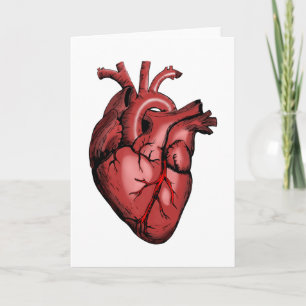Realistisches Anatomisches Herzbild Karte