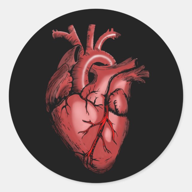 Realistisches Anatomisches Herzbild Runder Aufkleber (Vorderseite)