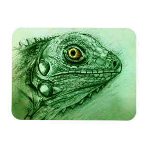 Realistisches Green Reptile Art Foto Magnet - Igua