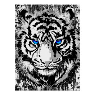 Realistisches Tiger Poster Glossy - White Tiger He