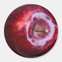 Realistisches Yummy Red Apple Kühlschrank Magnet