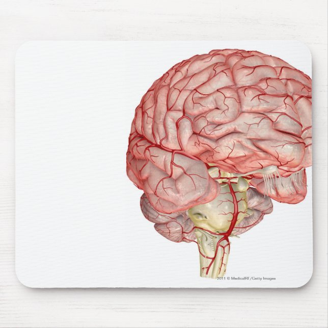 Realitic Wiedergabe des menschlichen Gehirns Mousepad (Vorne)