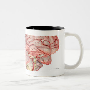 Realitic Wiedergabe des menschlichen Gehirns Zweifarbige Tasse