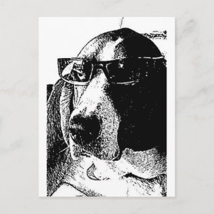 REally cooler Basset-Hund Postkarte