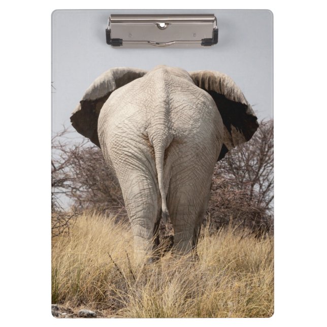 Rear view of elephant klemmbrett (Vorderseite)