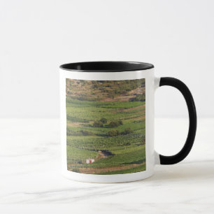 Reben auf Korcula aus der Toreta Tasse