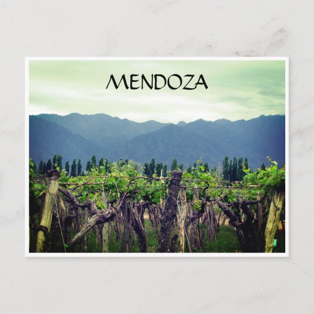 Reben der mendoza postkarte (Vorderseite)