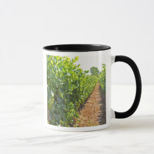 Reben, die an Drahtseilen hochgezogen werden, die  Tasse
