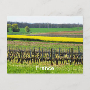 Reben und Felder in Frankreich Postkarte