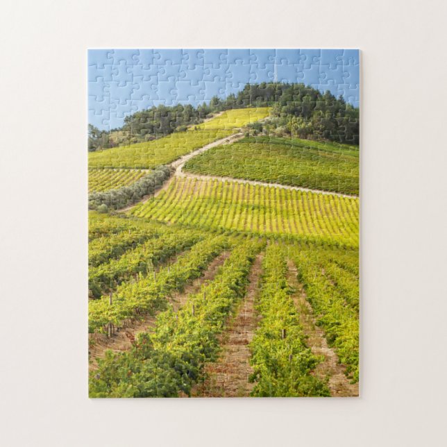 Rebfläche, Stellenbosch, Western (Vertikal)