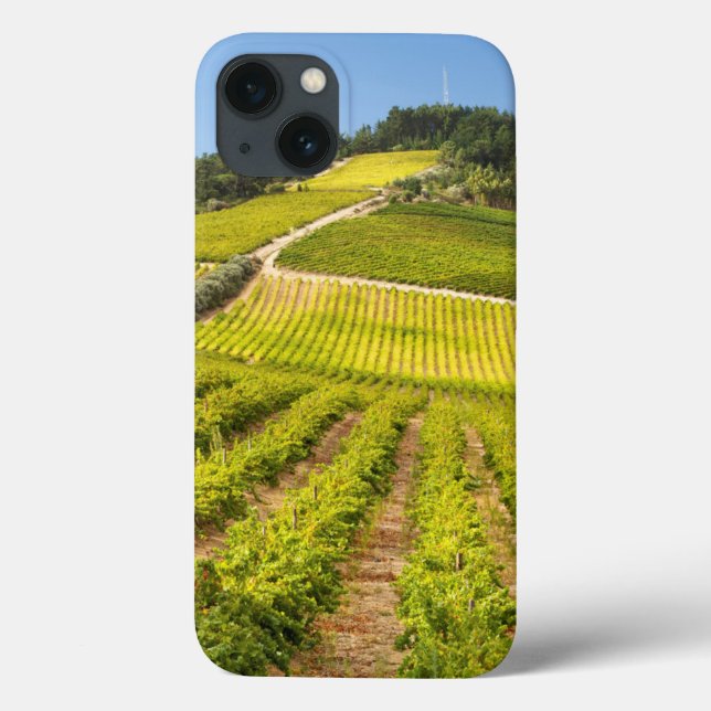 Rebfläche, Stellenbosch, Western Case-Mate iPhone Hülle (Rückseite)