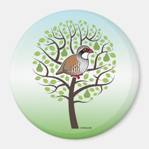Rebhuhn in einem Birnen-Baum Magnet