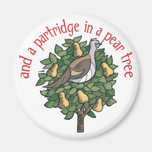 Rebhuhn in einem Birnen-Baum Magnet