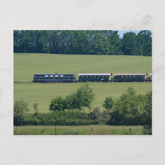 Reblaus Express Postkarte (Vorderseite)