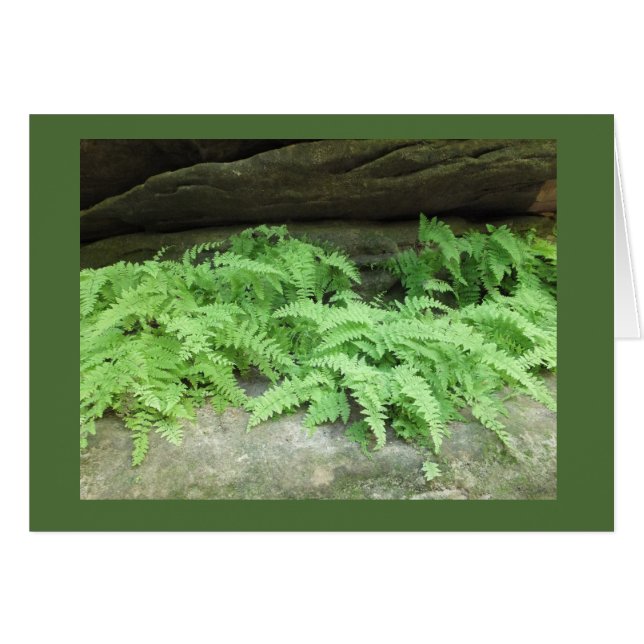 Rebord couvert de fougère (Devant horizontal)