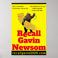 recallgavin2020 2:3 rapport épaisse affiche d'ours