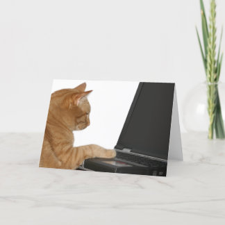 Rechenkatze Karte