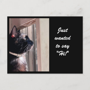 RECHERCHÉ DE DIRE "SALUT !" Carte postale Kitty