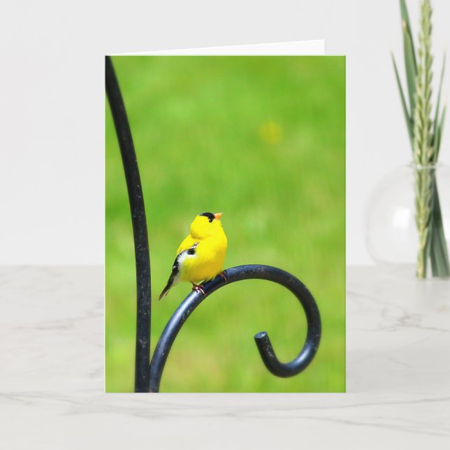 Recherche de la carte de voeux (Devant)