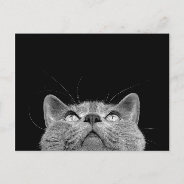 Recherche - de la carte postale (Devant)