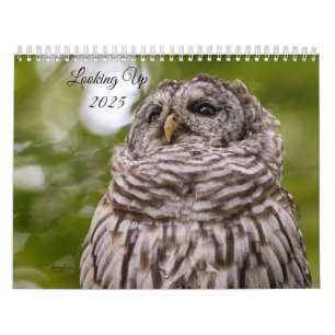 Recherche du calendrier 2025