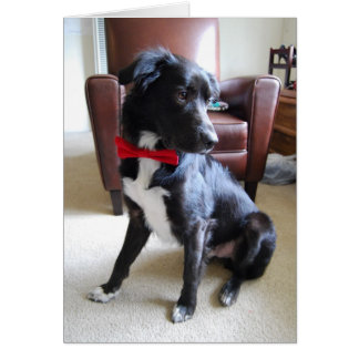 Recherche plus de détails