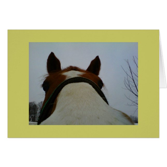 Recherche sur votre carte (Devant Horizontal)