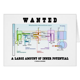 Recherché un grand nombre de potentiel intérieur