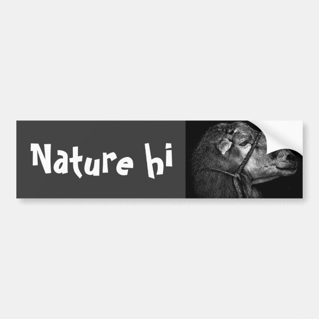 Recht Autoaufkleber (Vorne)