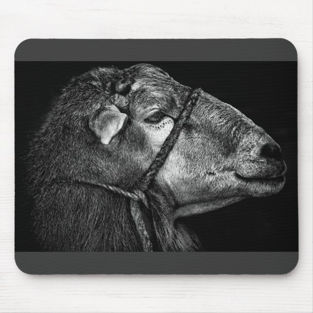 Recht Mousepad (Vorne)