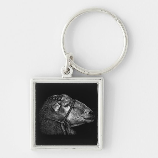 Recht Schlüsselanhänger (Vorne)