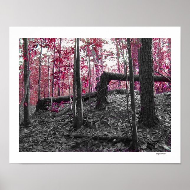 rechte Augengläser Poster (Vorne)