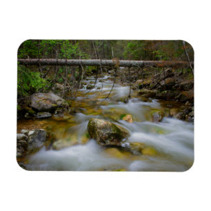 Rechteckiger Magnet des felsigen Waldnebenflusses