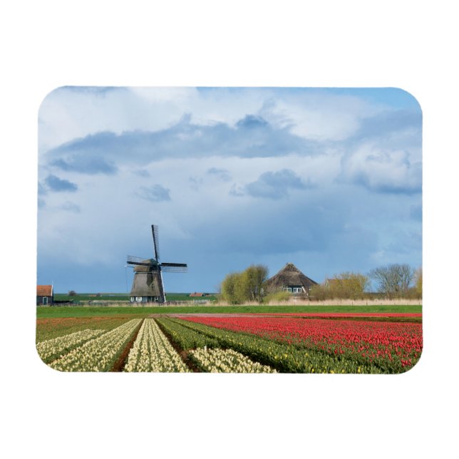 rechteckiger Magnet für Windmühle und Tulpen (Horizontal)