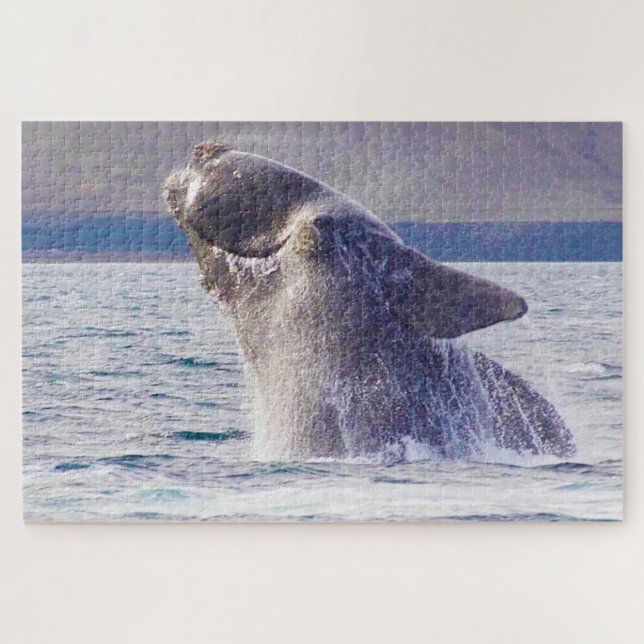 Rechter Whale (Horizontal)