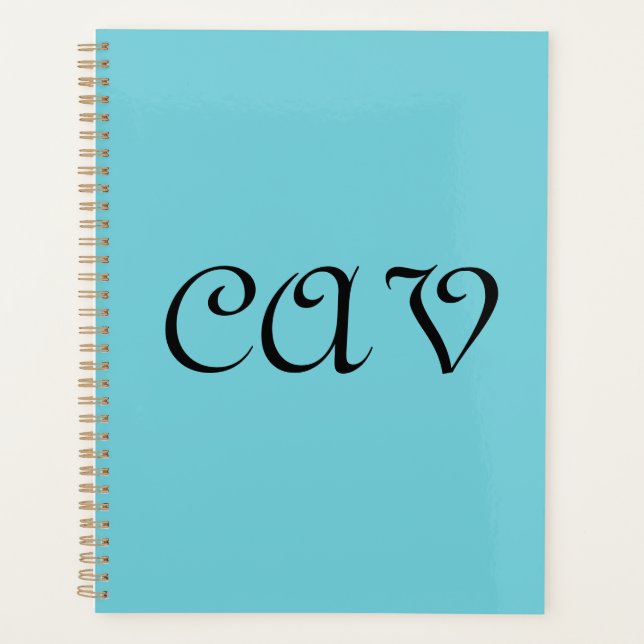 Recoleta Cornflower Blue  (Devant)