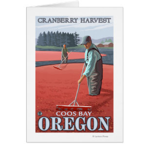 Récolte de canneberges - Coos Bay, Oregon